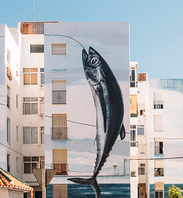 مشروع دهان رقم 4